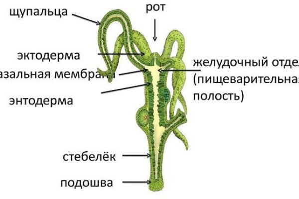 Забыл пароль кракен