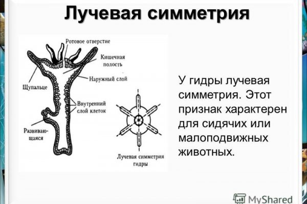 Кракен kr2web in