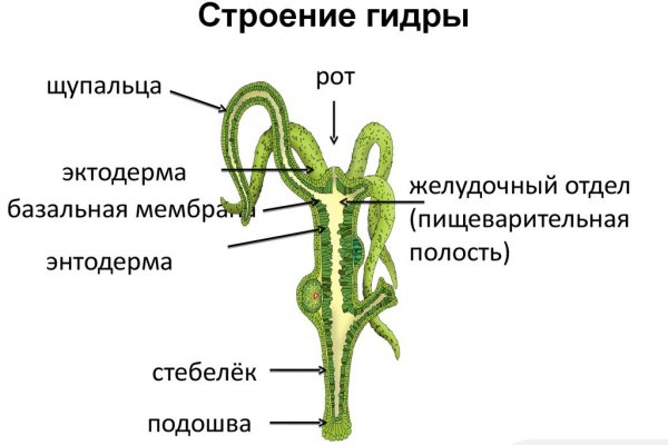 Как зарегистрироваться в kraken